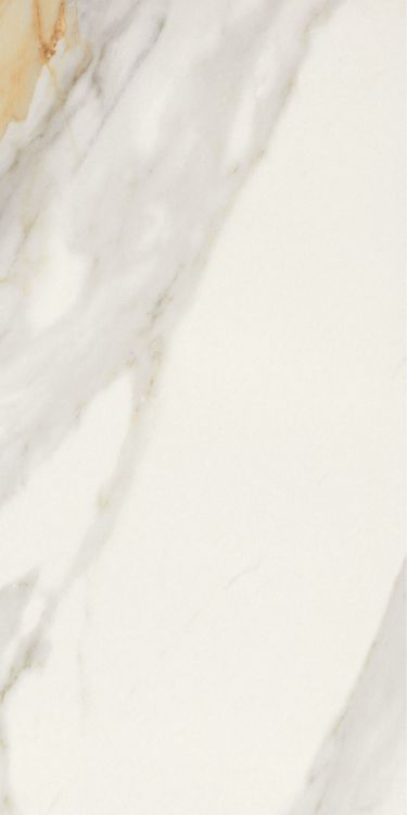 Marmi Macchiavecchia Matte 12 x 24