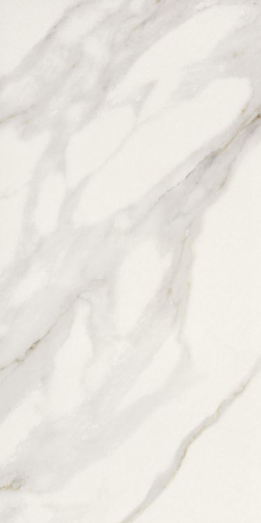 Marmi Macchiavecchia Matte 12 x 24