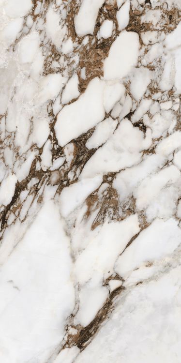 Bijoux Breche Capraia Matte 24 x 48