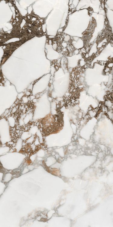 Bijoux Breche Capraia Matte 24 x 48