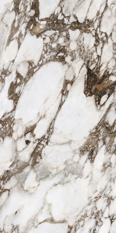 Bijoux Breche Capraia Matte 24 x 48