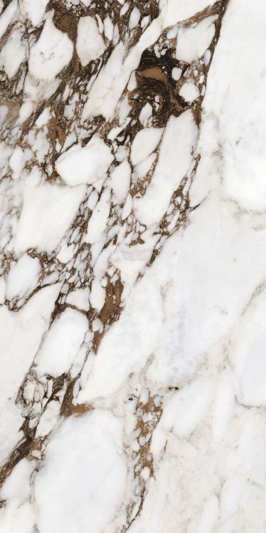 Bijoux Breche Capraia Matte 24 x 48