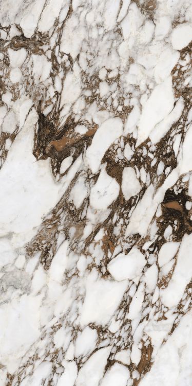 Bijoux Breche Capraia Matte 24 x 48