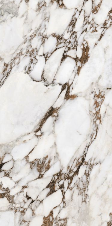 Bijoux Breche Capraia Matte 24 x 48