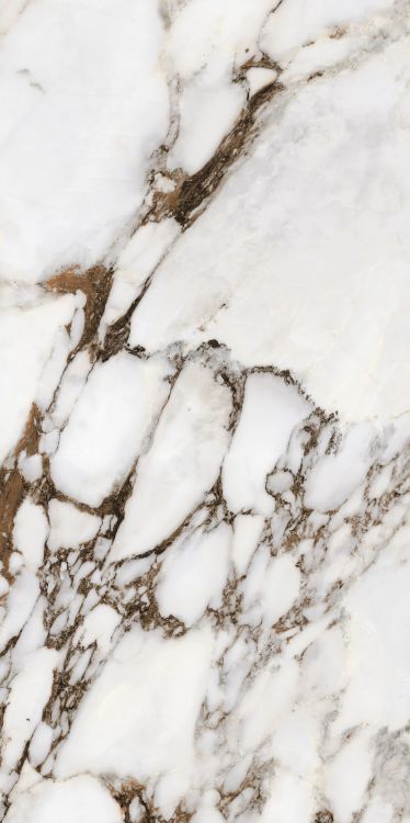 Bijoux Breche Capraia Matte 24 x 48