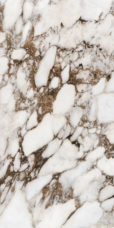 Bijoux Breche Capraia Matte 24 x 48