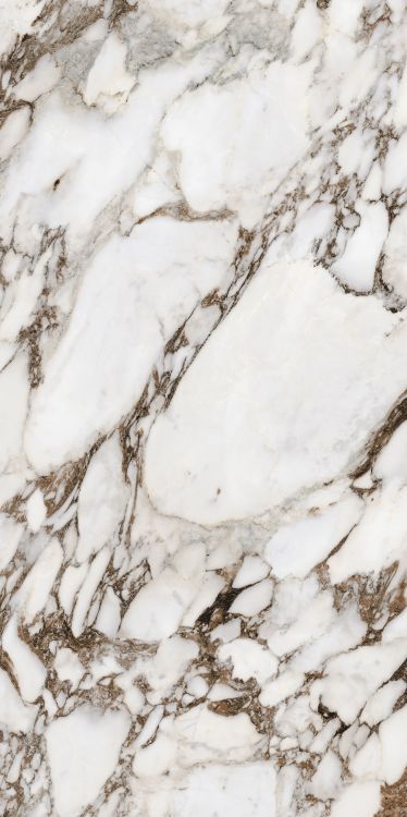 Bijoux Breche Capraia Matte 24 x 48
