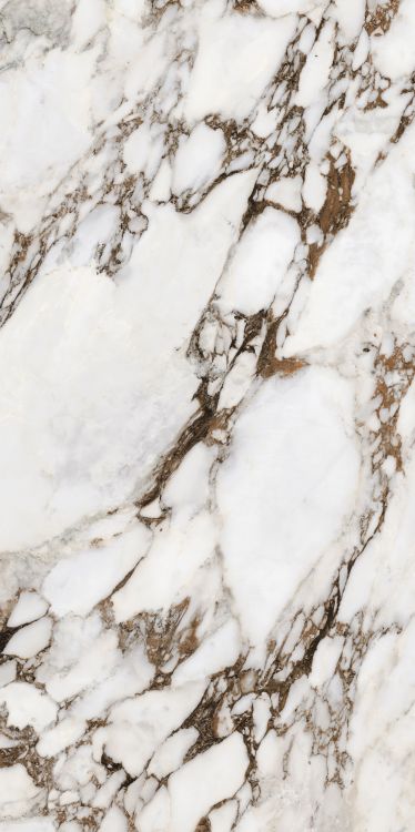 Bijoux Breche Capraia Matte 24 x 48