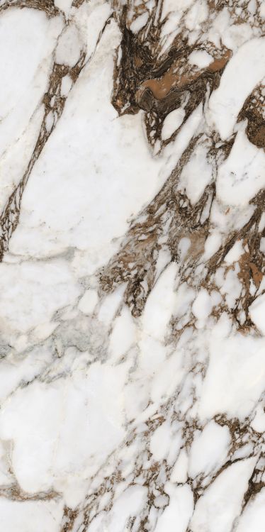 Bijoux Breche Capraia Matte 24 x 48