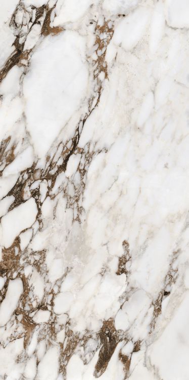 Bijoux Breche Capraia Matte 24 x 48