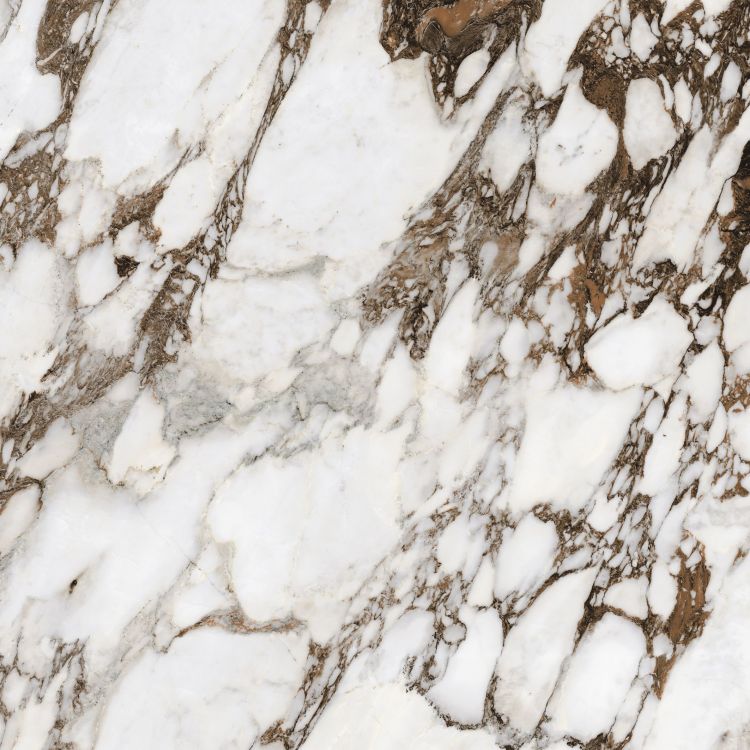 Bijoux Breche Capraia Glossy 32 x 32
