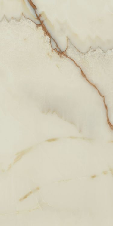 Bijoux Onyx Blanche Matte 24 x 48