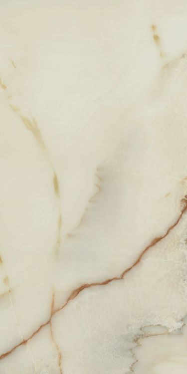 Bijoux Onyx Blanche Matte 24 x 48