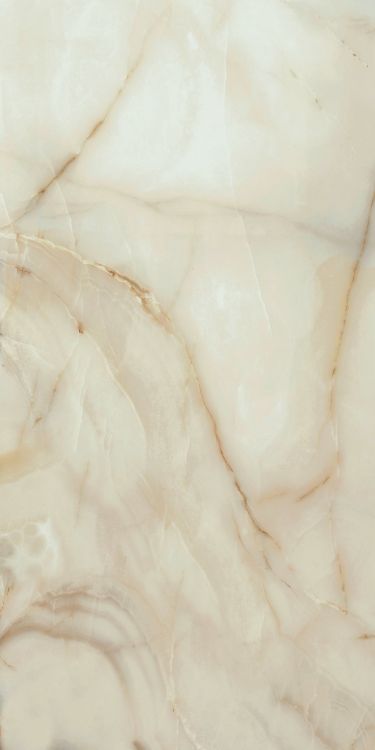 Bijoux Onyx Blanche Matte 24 x 48