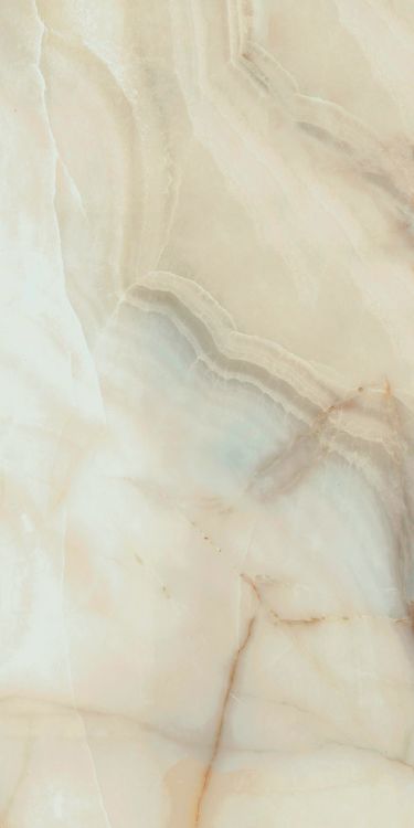 Bijoux Onyx Blanche Matte 24 x 48