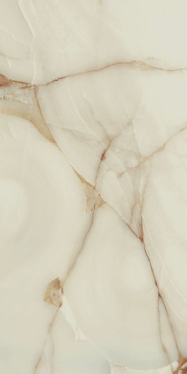 Bijoux Onyx Blanche Glossy 24 x 48