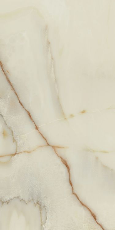 Bijoux Onyx Blanche Glossy 24 x 48