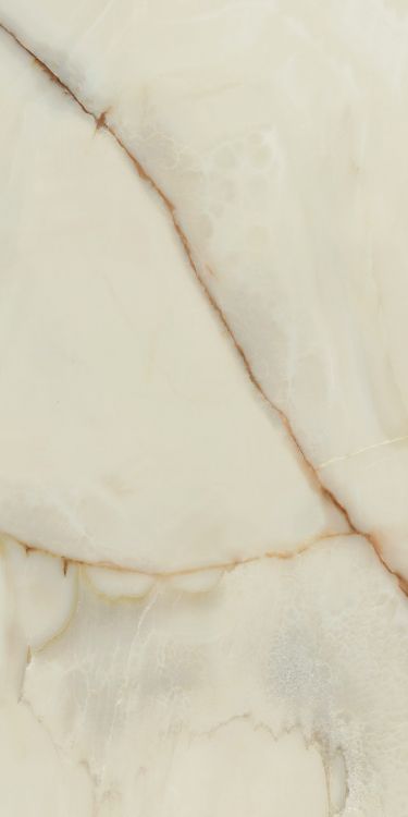 Bijoux Onyx Blanche Glossy 24 x 48