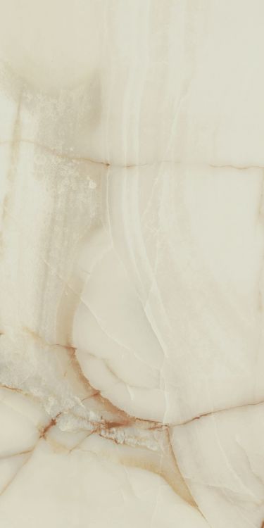 Bijoux Onyx Blanche Glossy 24 x 48