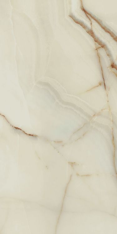 Bijoux Onyx Blanche Glossy 24 x 48