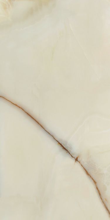 Bijoux Onyx Blanche Glossy 24 x 48
