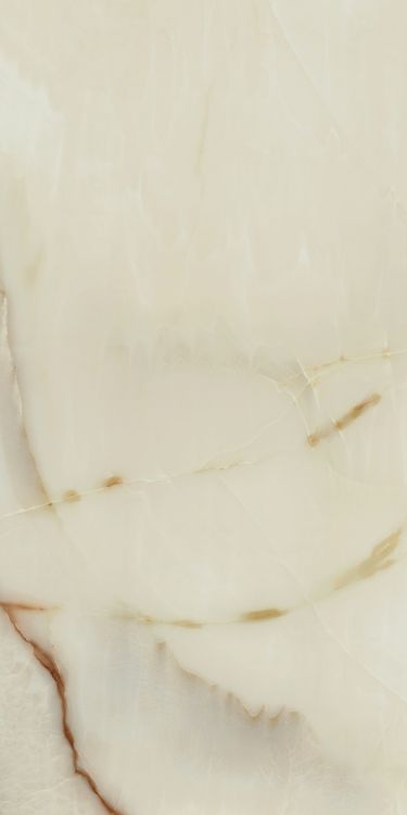 Bijoux Onyx Blanche Glossy 24 x 48