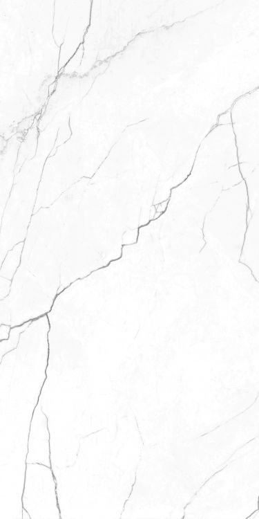 EC Elegance White Polished 24 x 48