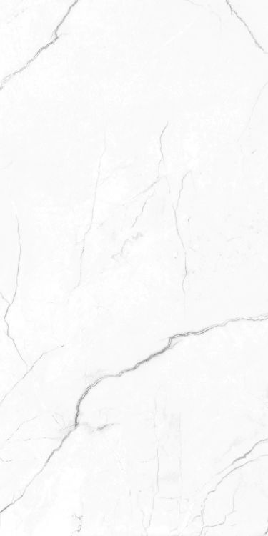 EC Elegance White Polished 24 x 48