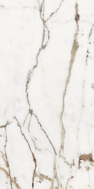 Origines Or Matte 24 x 48