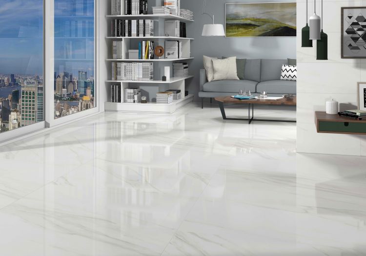 EC Calacatta Gold Polished 12 x 24