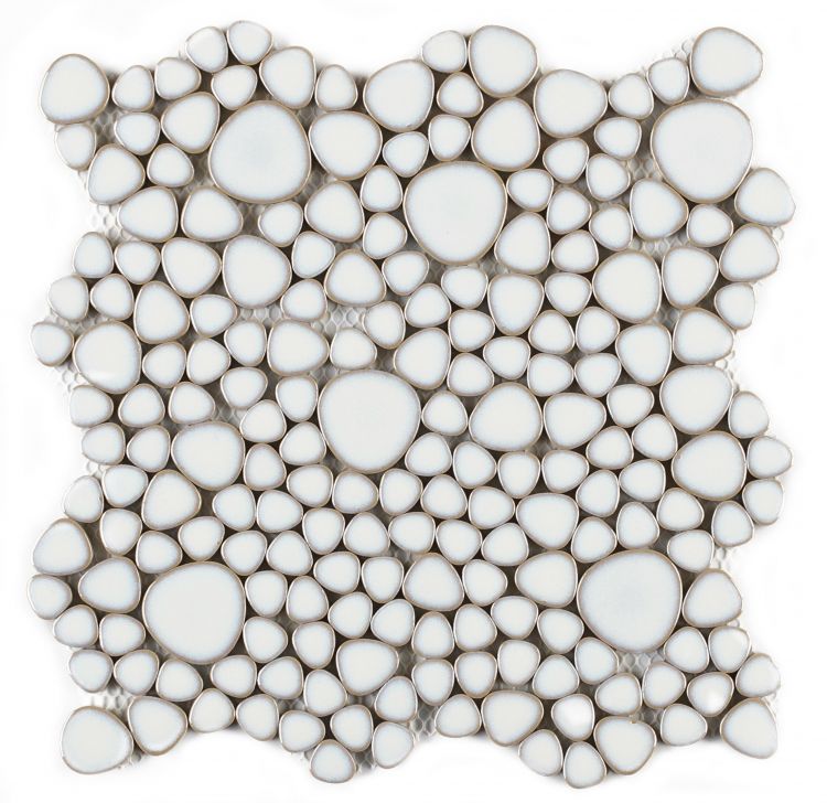 Growing Fancy White 11.5 x 11.5