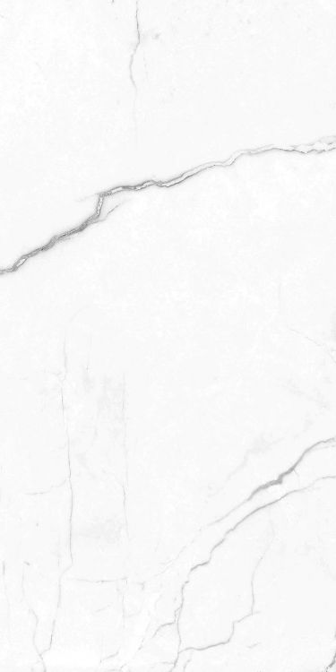 EC Elegance White Matte 12 x 24