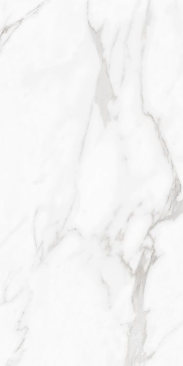 Carenza Bianca Polished 24 x 48