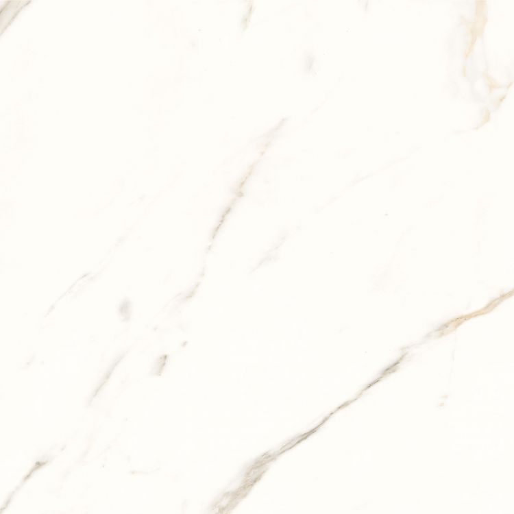 Trilogy Calacatta White Soft 24 x 24