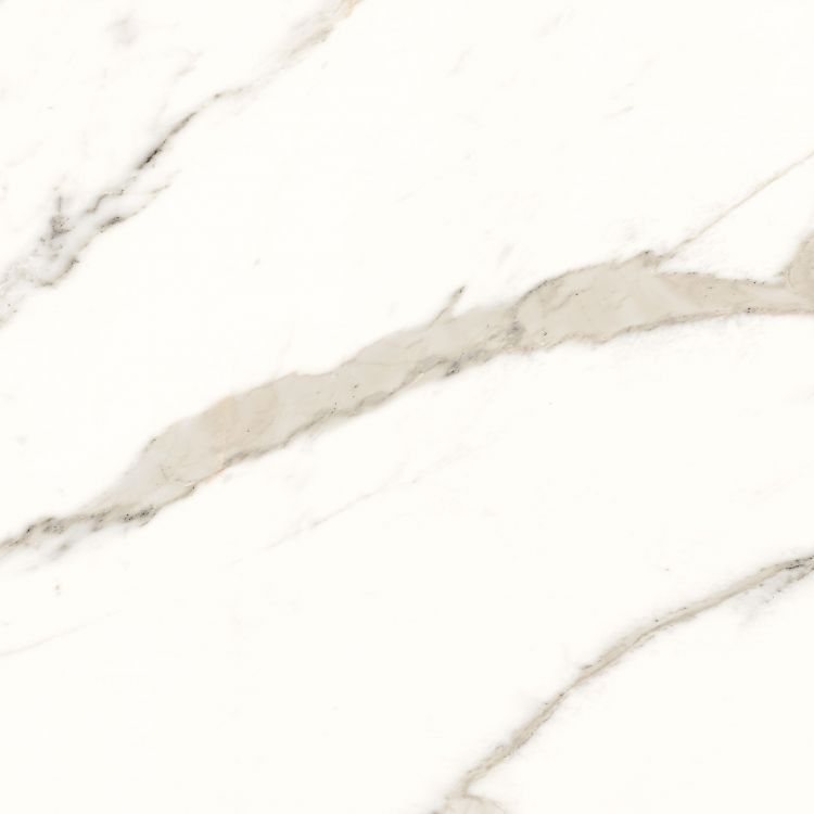 Trilogy Calacatta White Soft 24 x 24