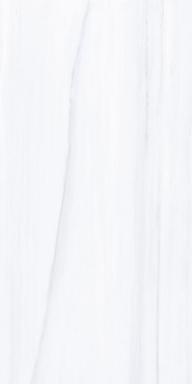 AN Dolomite Supreme Polished 24 x 48