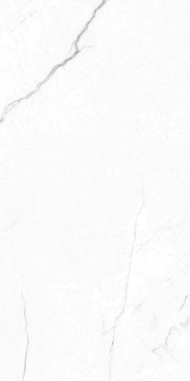 EC Elegance White Polished 12 x 24