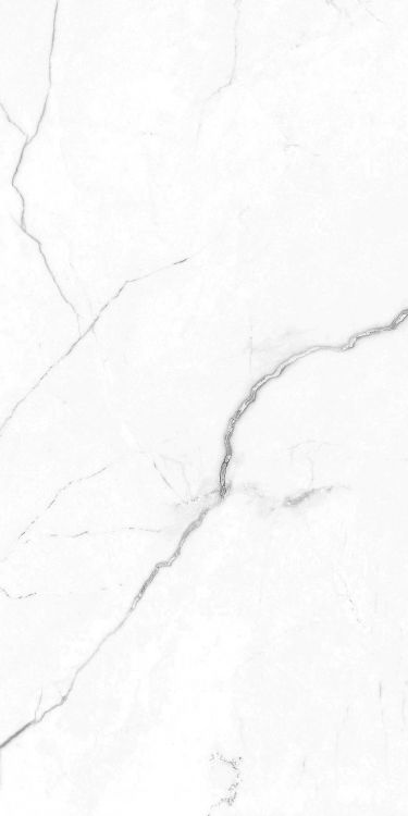 EC Elegance White Polished 12 x 24