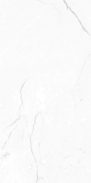 EC Elegance White Polished 12 x 24