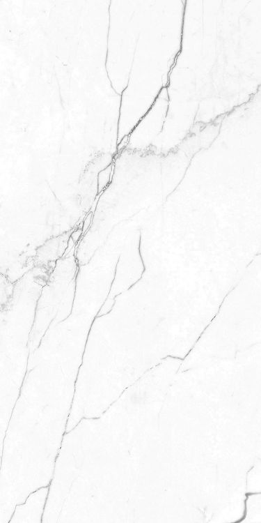 EC Elegance White Polished 12 x 24