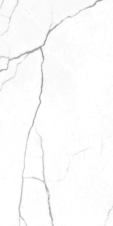 EC Elegance White Polished 12 x 24