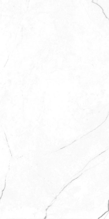 EC Elegance White Polished 12 x 24