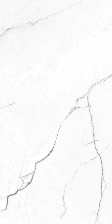 EC Elegance White Polished 12 x 24