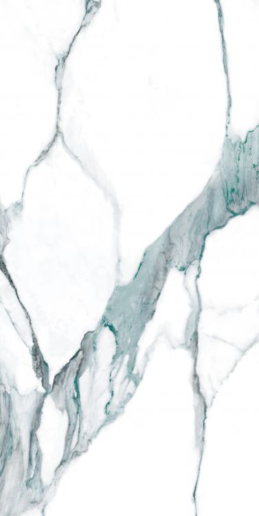 Calacatta Fantasy Green Polished 24 x 48