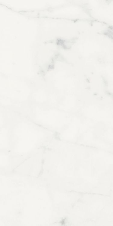 Origines Blanc Matte 12 x 24
