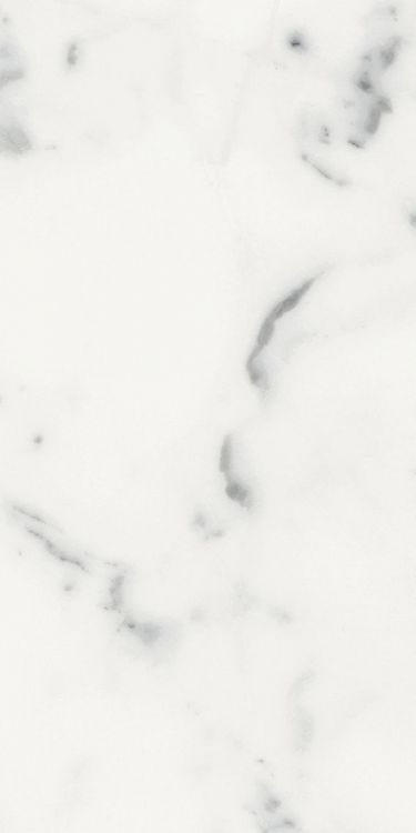 Origines Blanc Matte 12 x 24