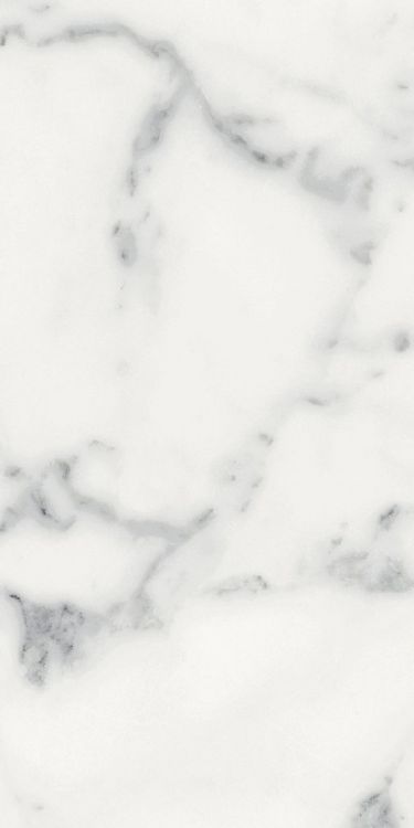 Origines Blanc Matte 12 x 24