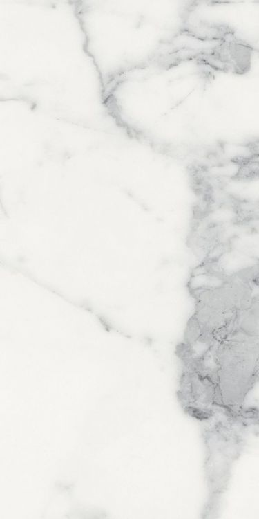 Origines Blanc Matte 12 x 24