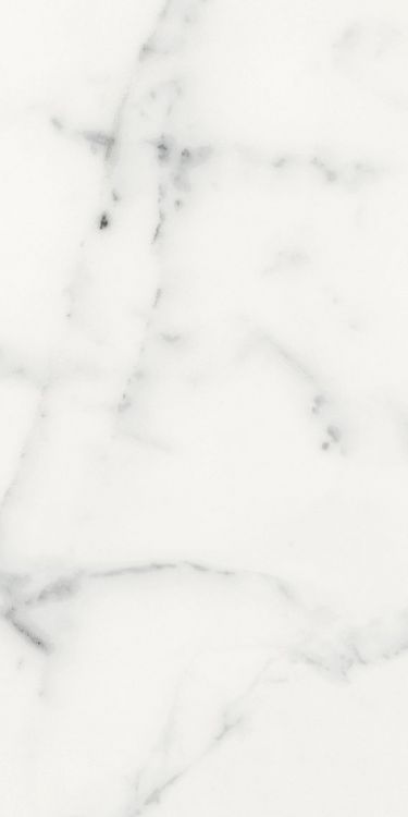 Origines Blanc Matte 12 x 24