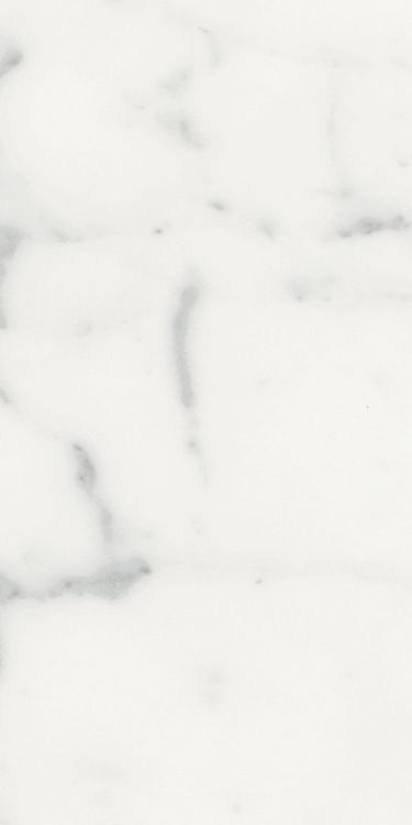 Origines Blanc Matte 12 x 24